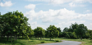 What to Do After Completing an Asphalt Driveway Repair Project