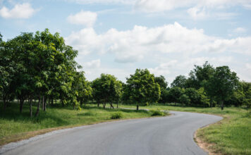 What to Do After Completing an Asphalt Driveway Repair Project