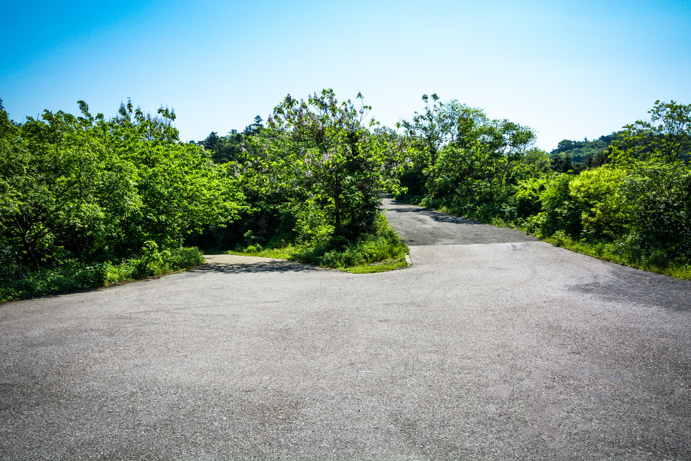 A Step-by-Step Process for Asphalt Driveway Repair: From Start to Finish