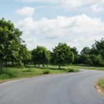 The Complete Guide to Asphalt Driveway Repair and Maintenance