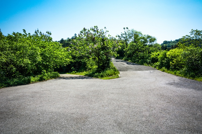 How to Apply Asphalt Driveway Sealer (Step-by-Step for Beginners)