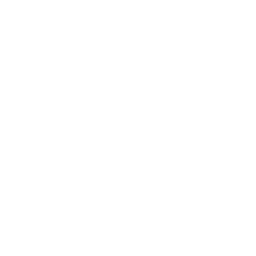 professional success