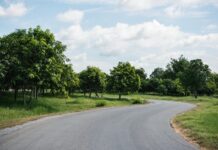 How Asphalt Driveway Sealer Extends Pavement Life and Improves Appearance