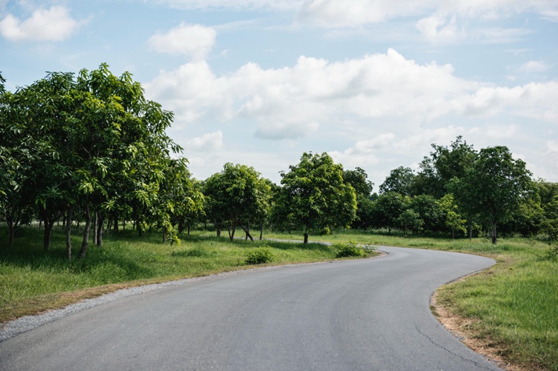 How Asphalt Driveway Sealer Extends Pavement Life and Improves Appearance